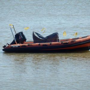 tnwaldringfield201310