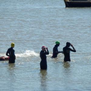 Open water swimmers