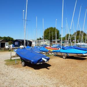 tnwaldringfield201316