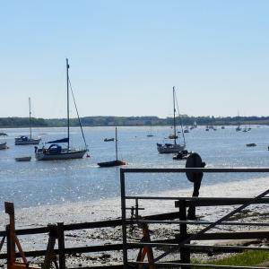 tnwaldringfield201331