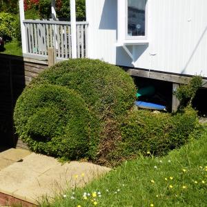 tnwaldringfield201333