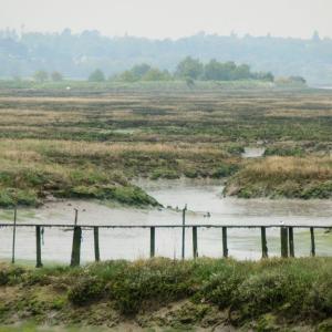 Looking at Woodbridge