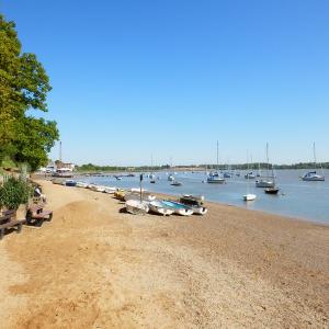 tnwaldringfield20137