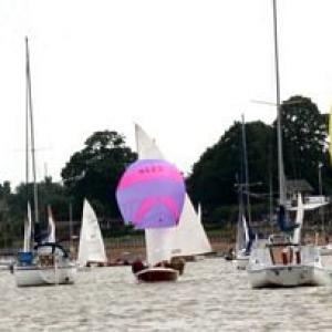 tnregatta65
