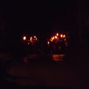 tntorch20121