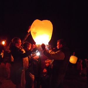 tntorch201210