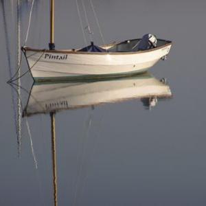 tnboat 10