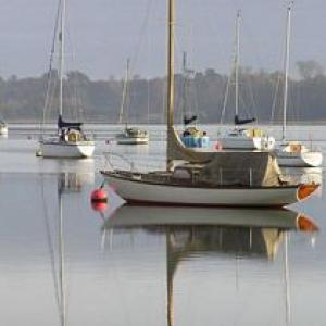 tnwaldring11