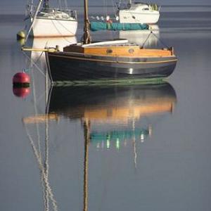tnwaldring21