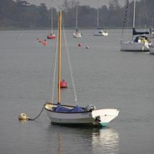 tnwaldring4