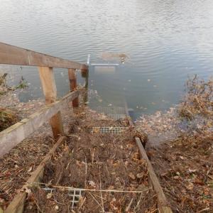 tnfloods121