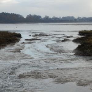 tnfloods124