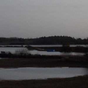 tnfloods56