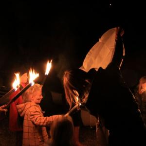 tntorch den10