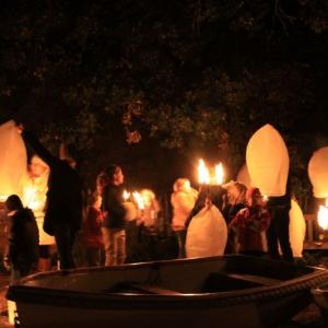 tntorch den11