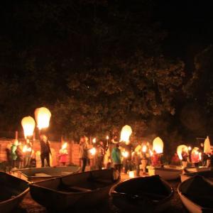 tntorch den12
