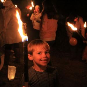 tntorch den5