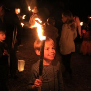 tntorch den6