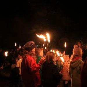 tntorch den8