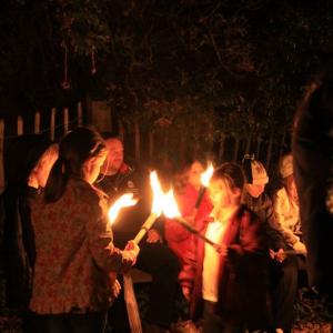 tntorch den9