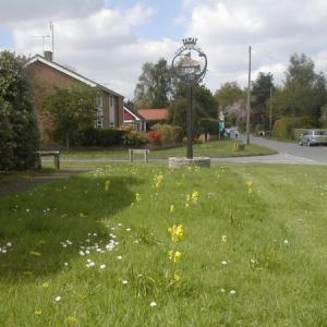tnverges1