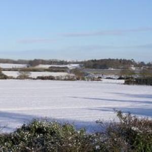tnwaldringfield snow