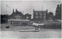 maybush1900