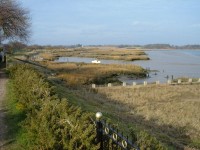 Waldringfield marshes