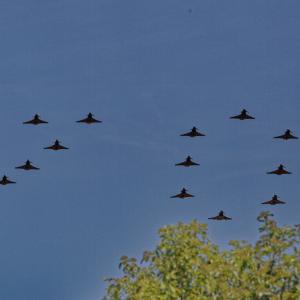 1.Jubilee Flypast025